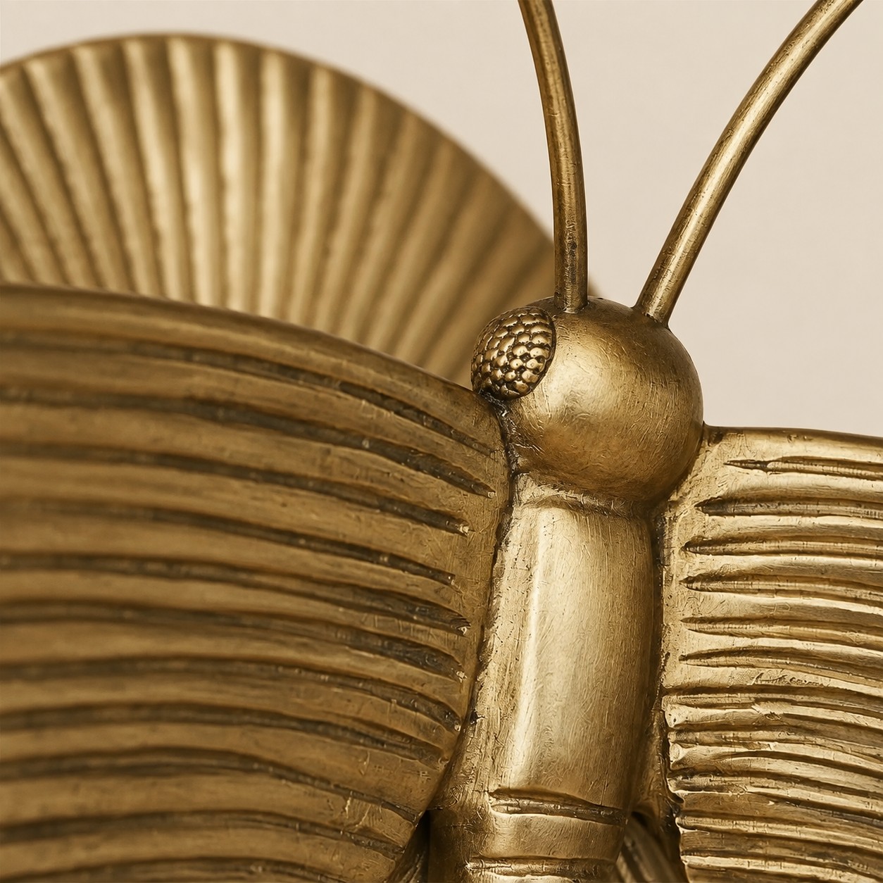 Sculpted moth thorax, head, and antennae
