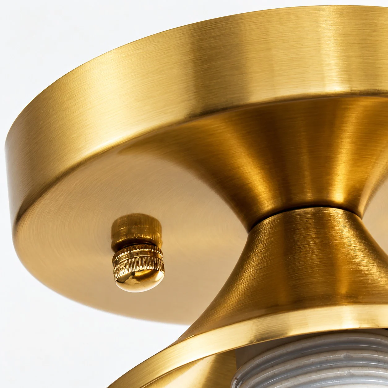 Close-up of the brushed brass canopy and fixing hardware