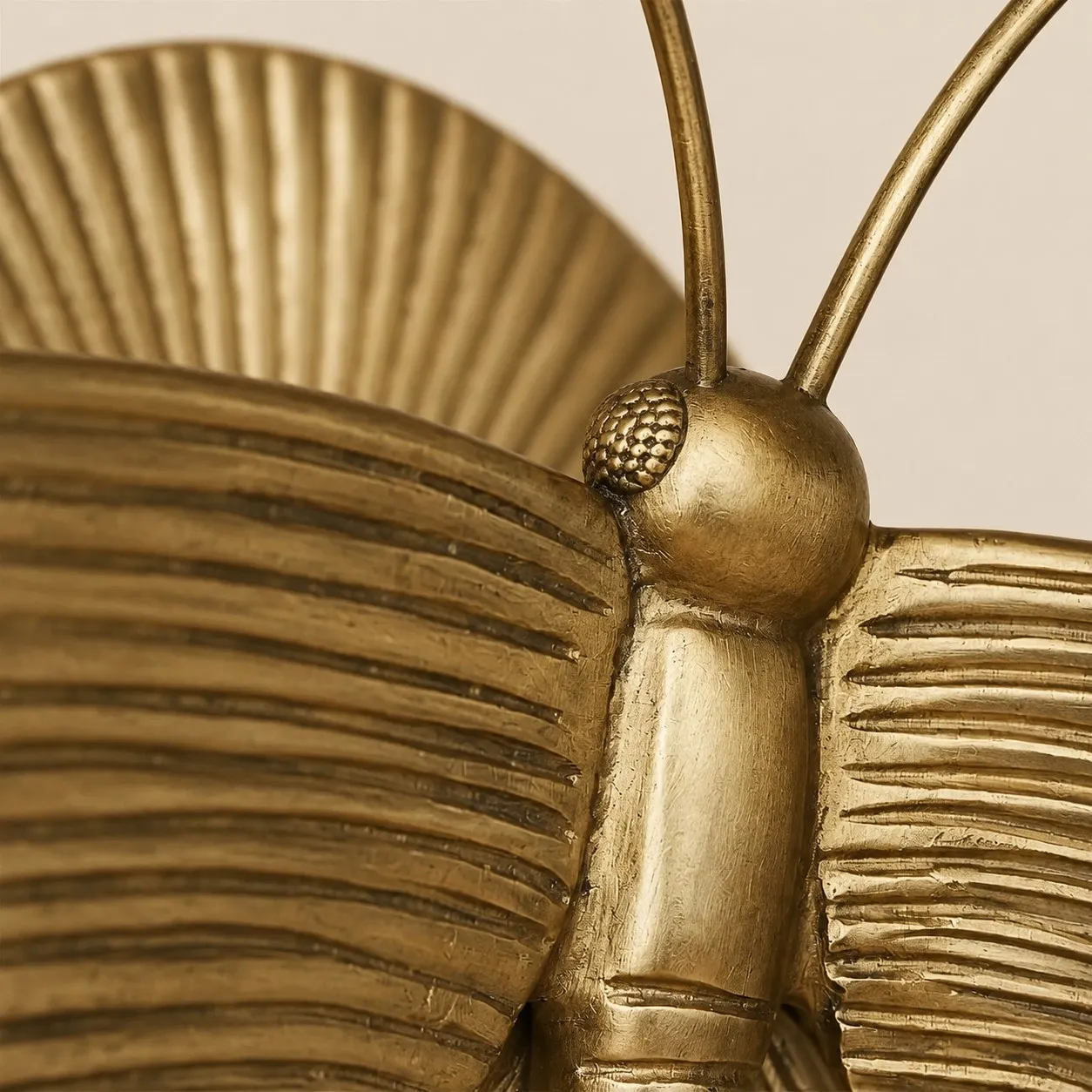 detail_thorax