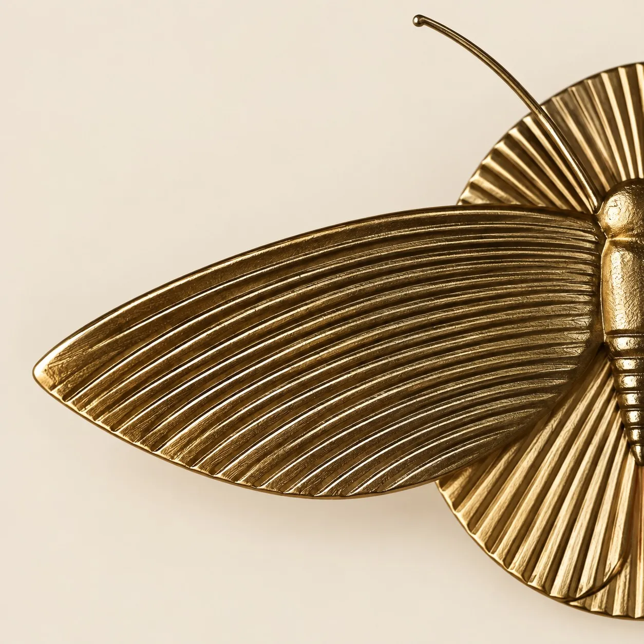 detail_wing